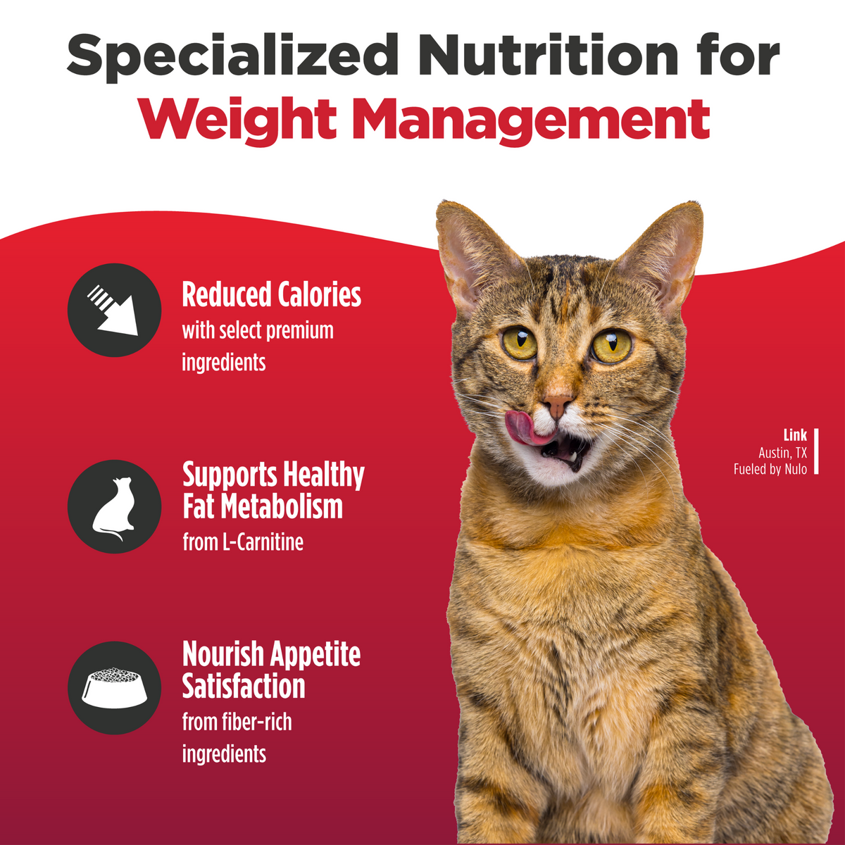 Nulo Freestyle High-Protein Kibble Trim Salmon & Lentils Recipe Dry Cat Food 5 lb