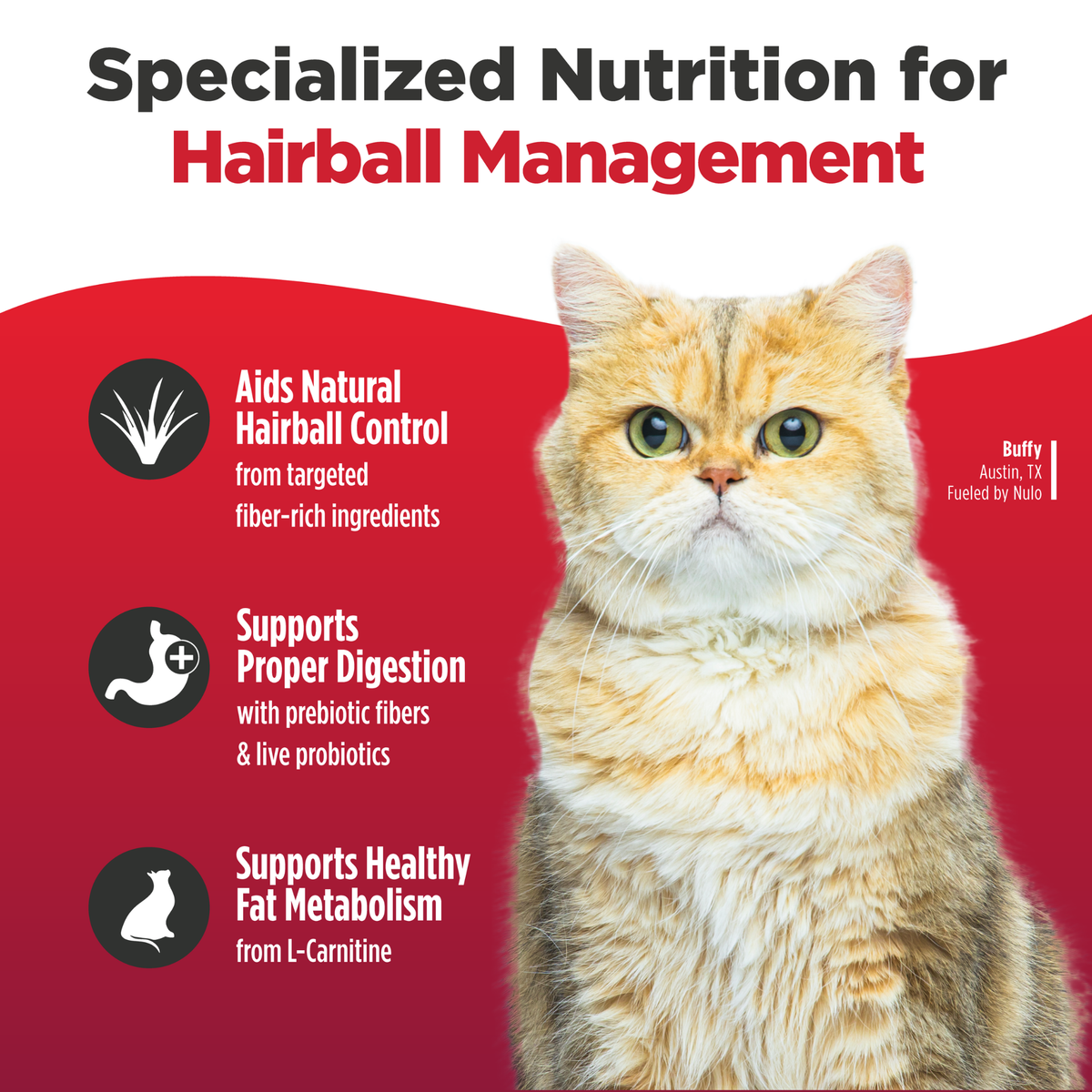 Nulo Freestyle High-Protein Kibble Hairball Management Turkey & Cod Recipe Dry Cat Food 5 lb
