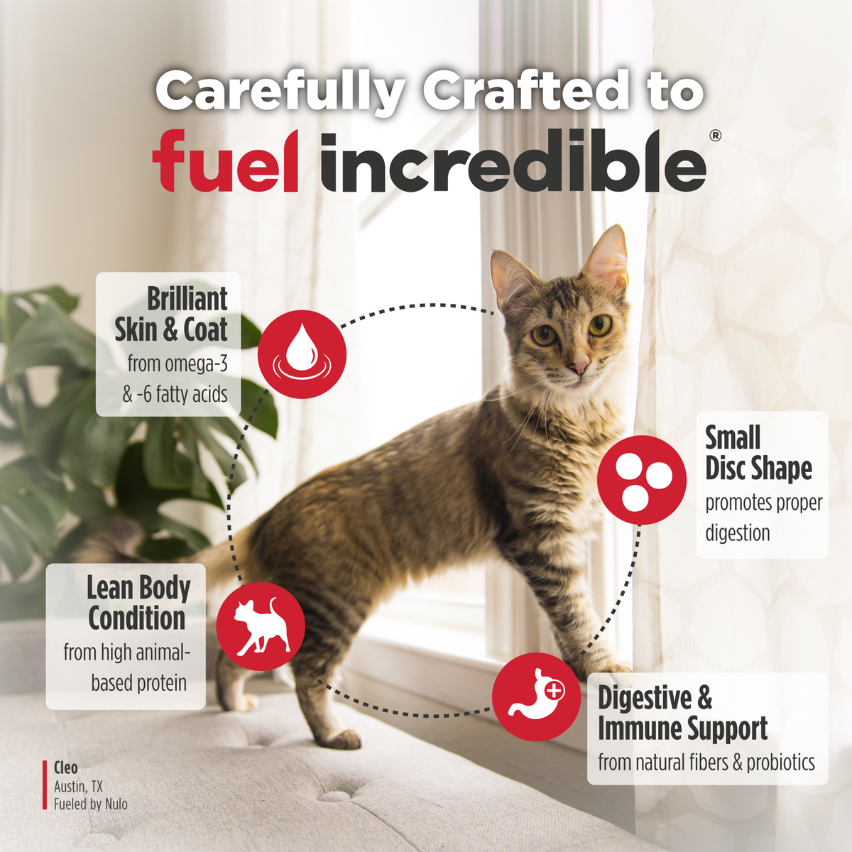 Nulo Freestyle High-Protein Kibble Hairball Management Turkey & Cod Recipe Dry Cat Food 5 lb