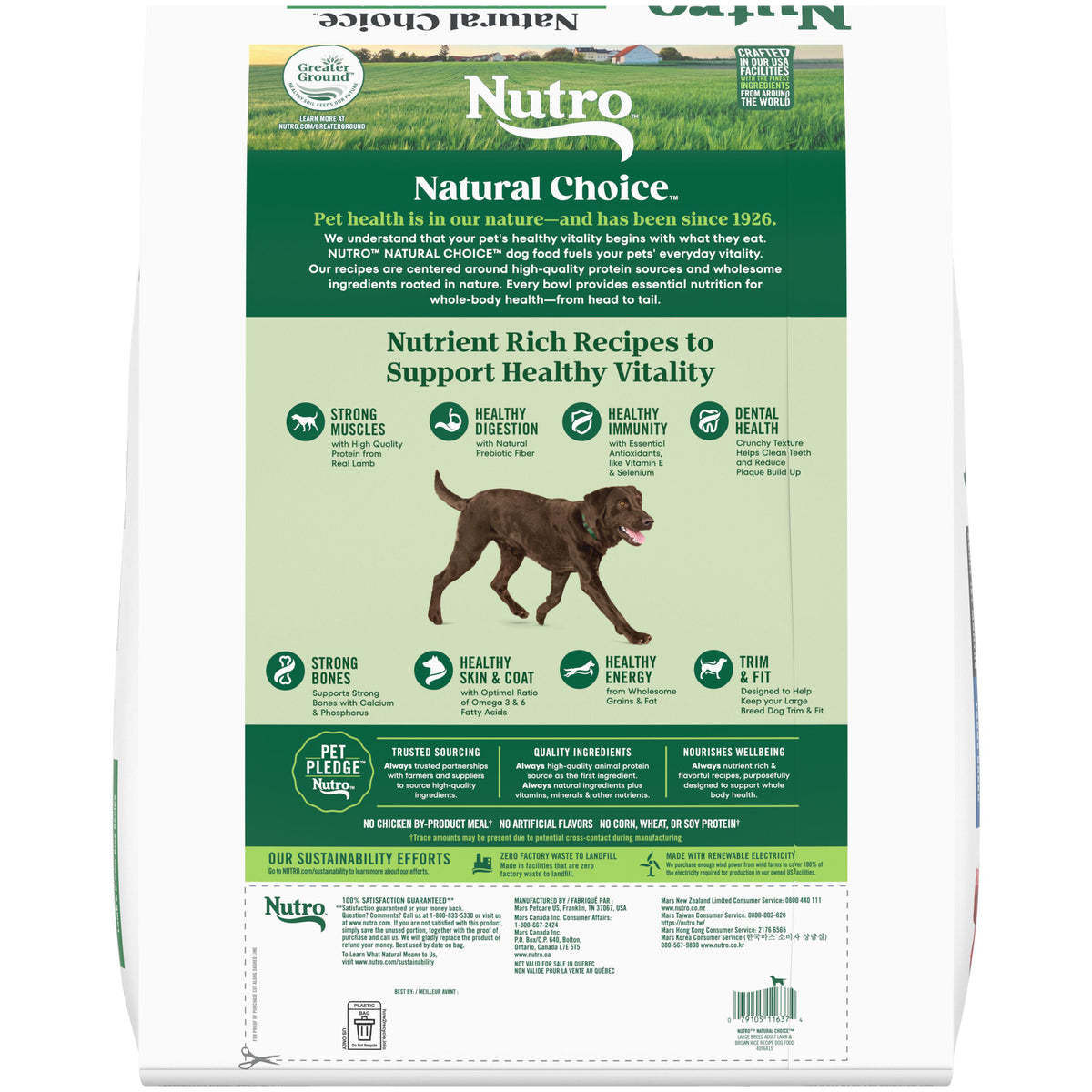 Nutro Lamb & Rice Large Breed Adult Dry Dog Food