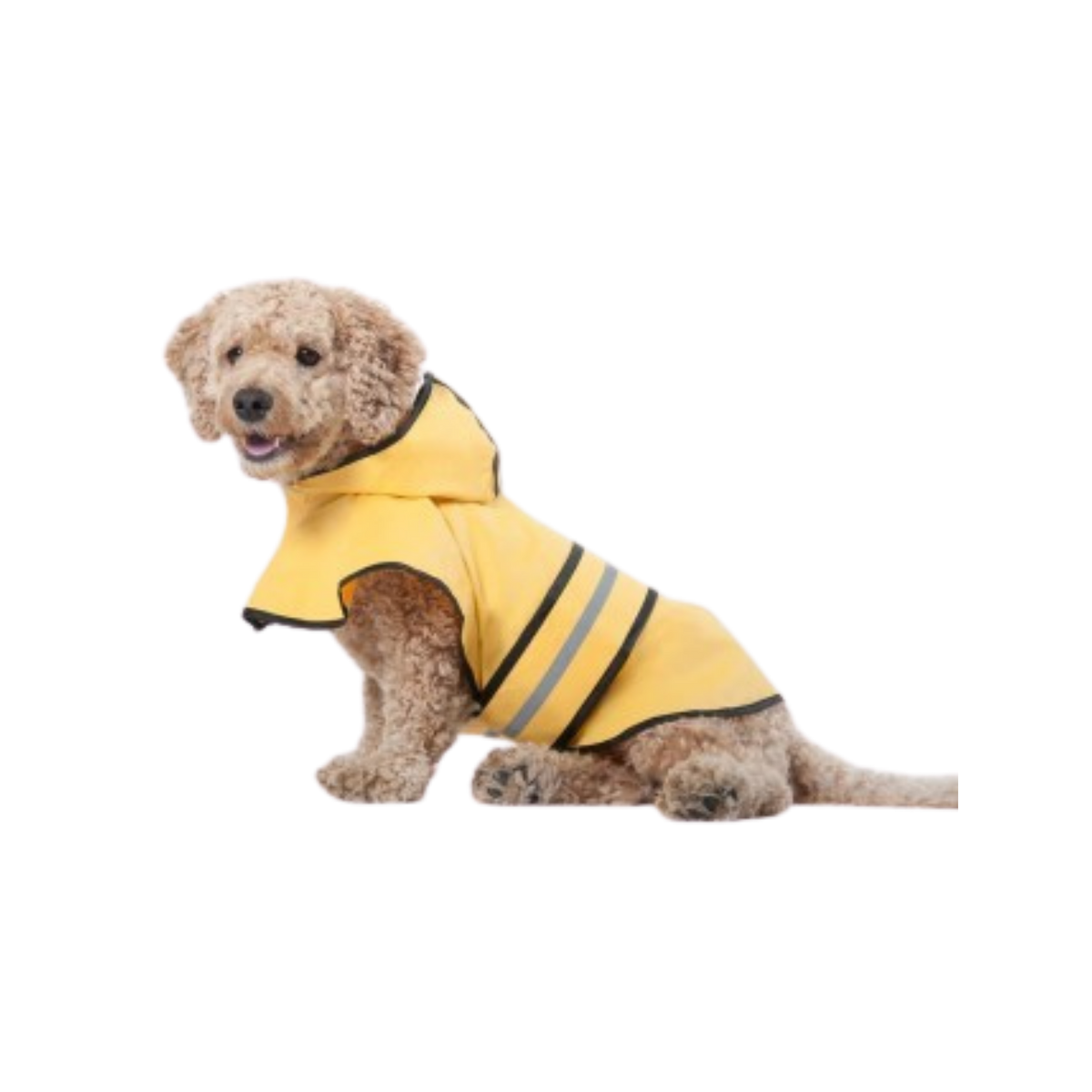 SPOT Fashion Pet Dog Raincoat