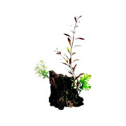 Marina Deco-Wood Aquarium Ornament M