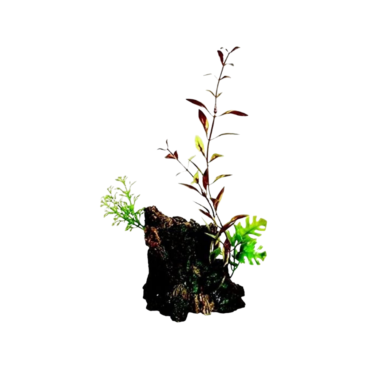 Marina Deco-Wood Aquarium Ornament M