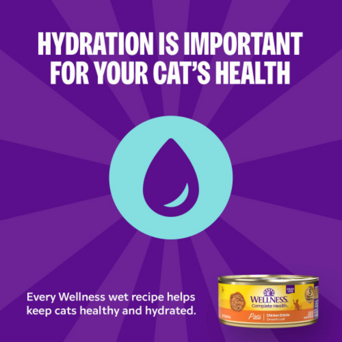 Wellness Complete Health Chicken Pate Entree Grain-Free Canned Cat Food