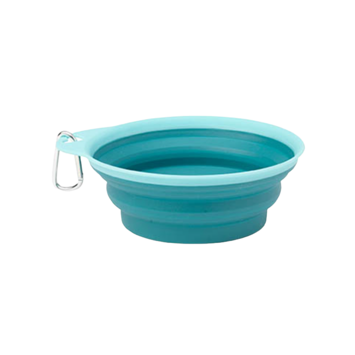 Petrageous Designs Collapsible Travel Pet Bowl, Aqua 1 cup