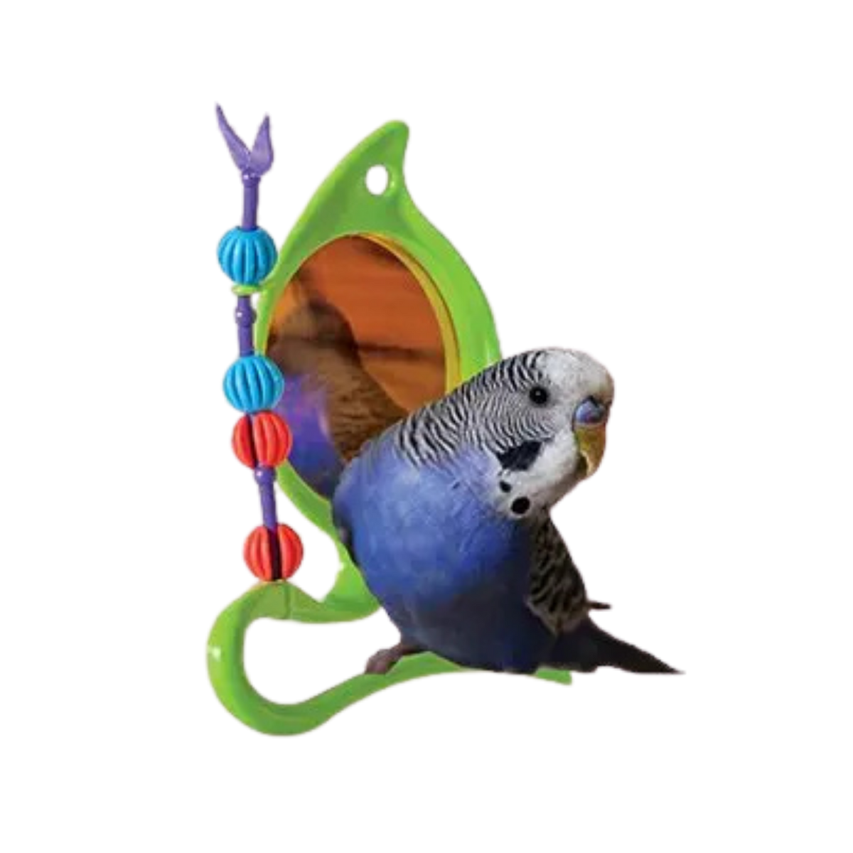 Caitec Jungle Mirror Bird Toy