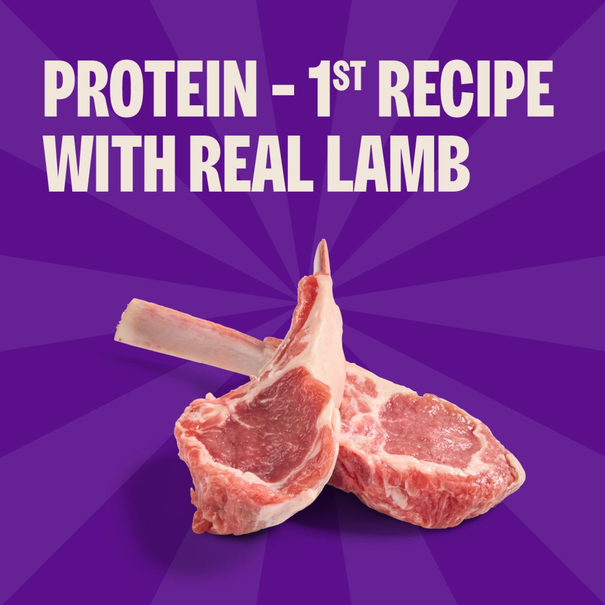 Wellness Soft Puppy Bites Lamb & Salmon Recipe Grain-Free Dog Treats 3 oz