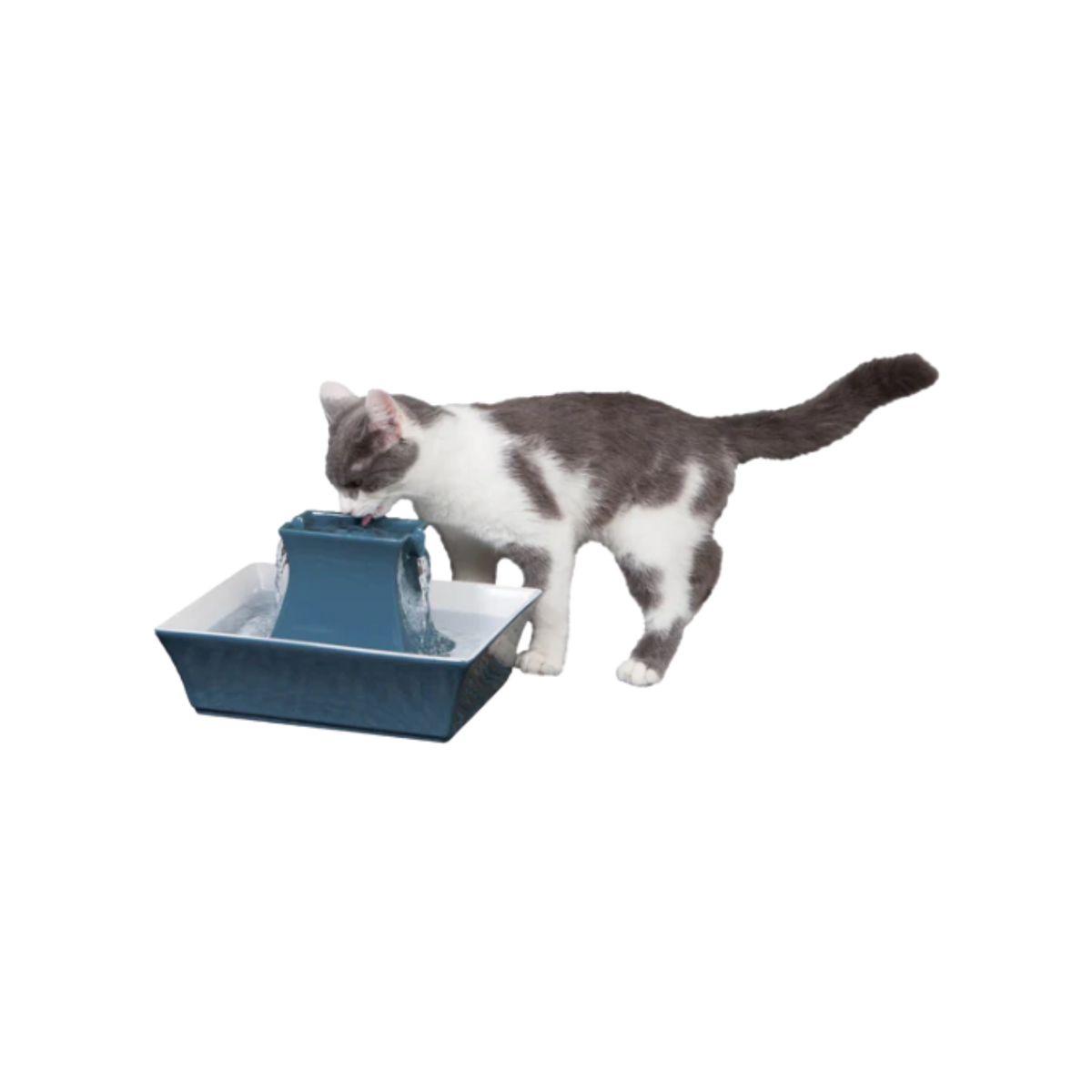 Petsafe Drinkwell Porcelain Stoneware Pagoda Pet Fountain .5 gal
