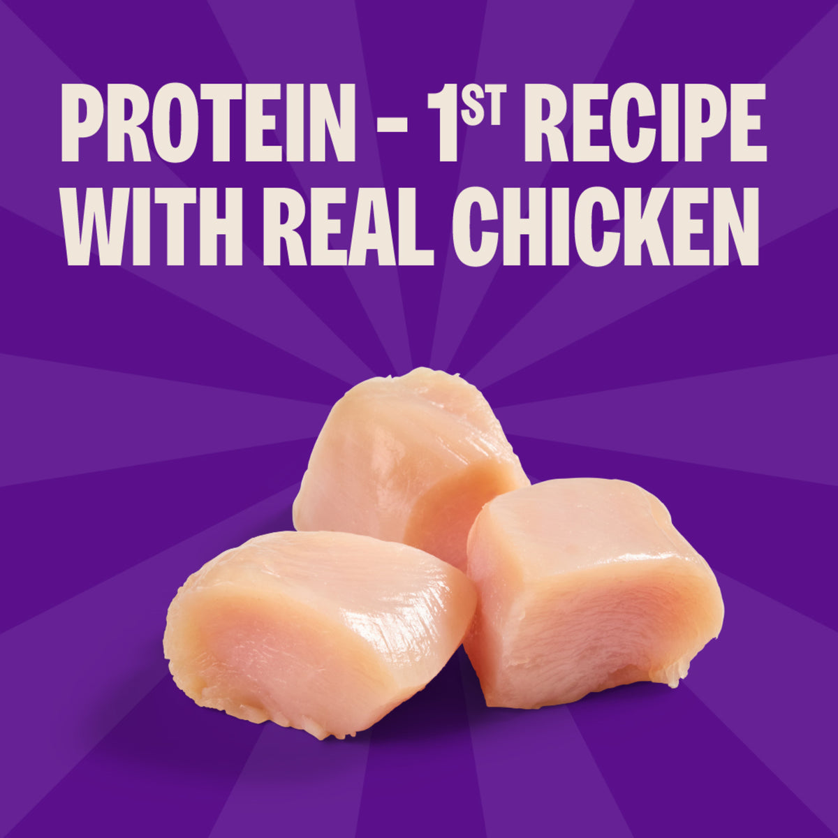 Wellness Rewarding Life Chicken & Venison Recipe Dog Training Treats 6 oz