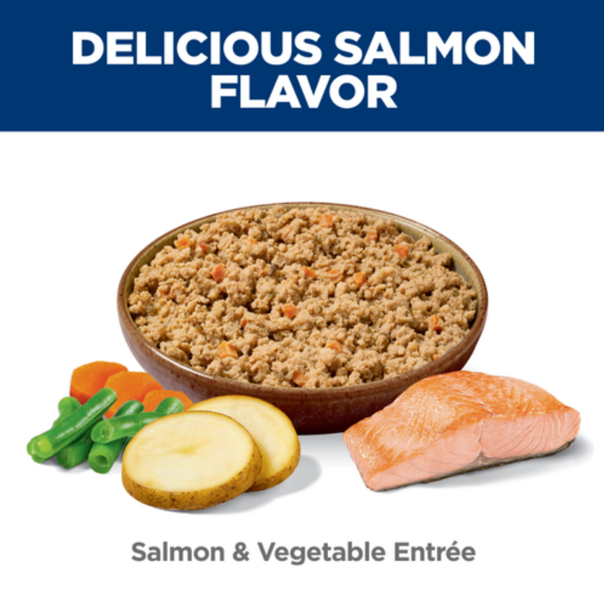 Hill's Science Diet Adult Sensitive Stomach & Skin Salmon & Vegetable Entree Canned Dog Food