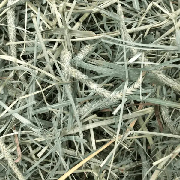 Oxbow Animal Health Hay Blends Western Timothy & Orchard Grass