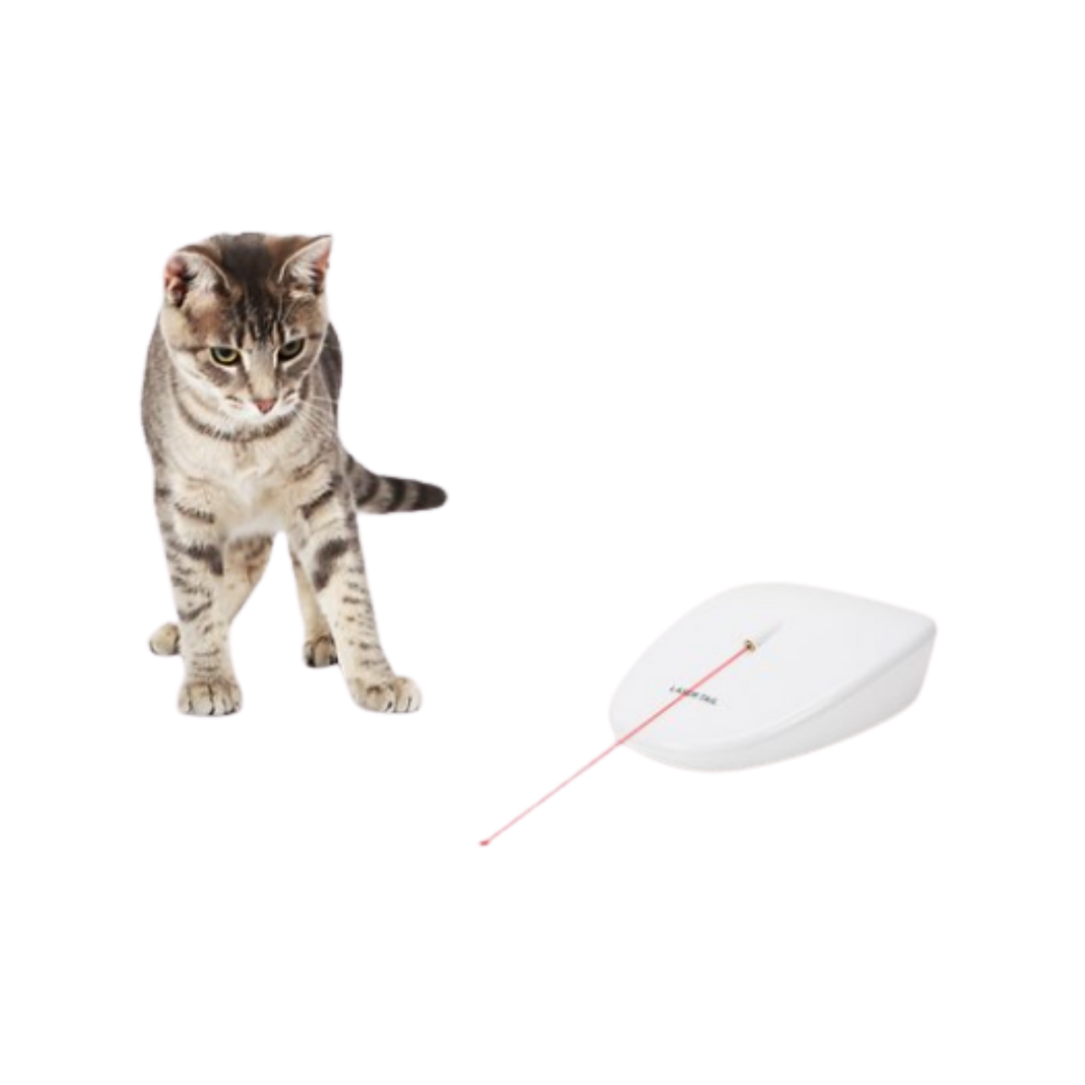 Petsafe Laser Tail Cat Toy