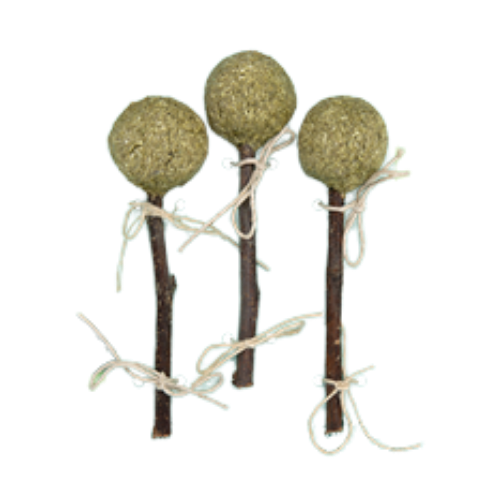 Oxbow Enriched Life Timmy Pops Small Animal Chew Toy