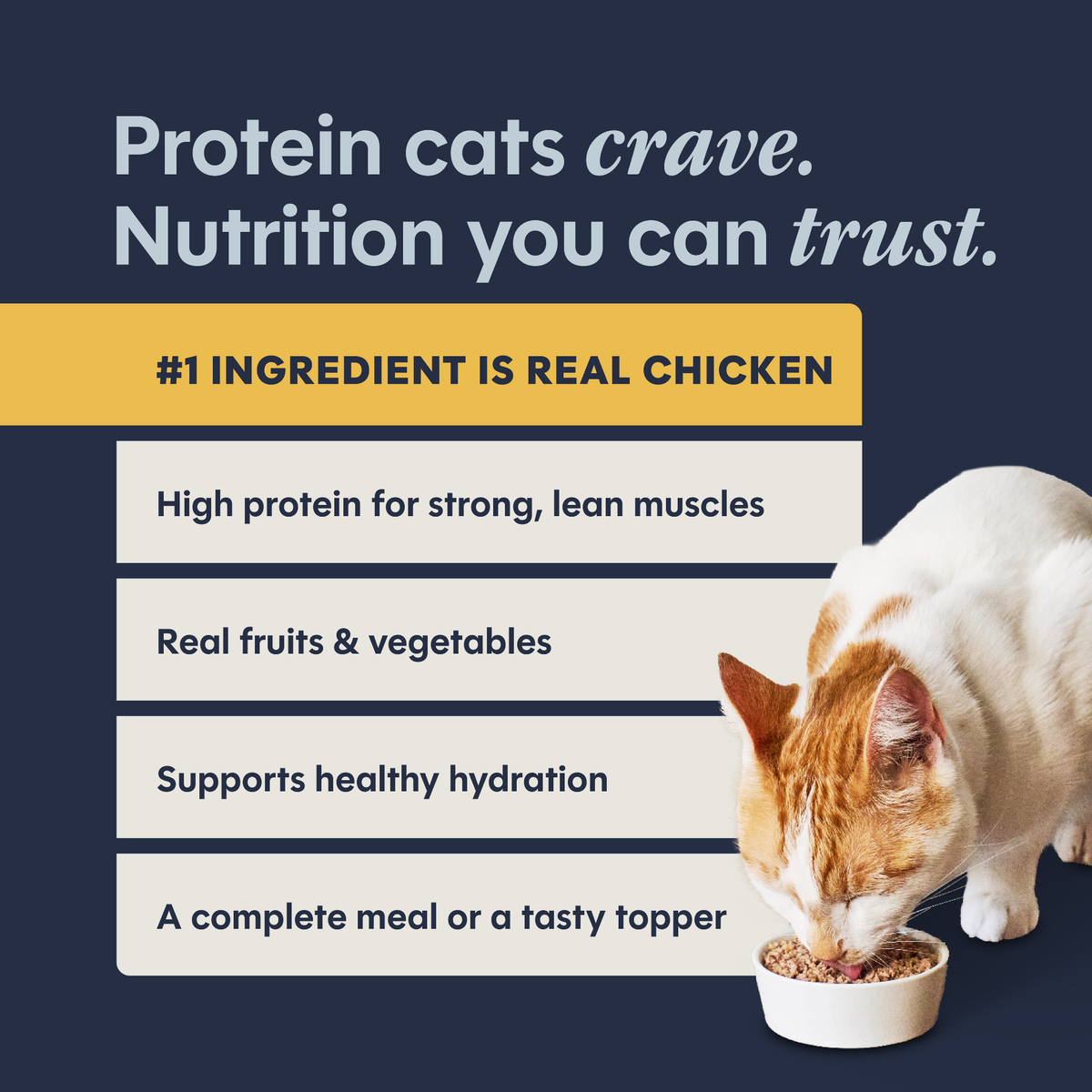 INSTINCT Original Grain-Free Pate Real Chicken Recipe Canned Cat Food