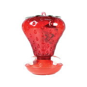 Perky Pet Strawberry Hummingbird Feeder 40 oz