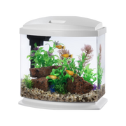 Aqueon MiniBow Led Desktop Fish Aquarium Kit 2.5 gal