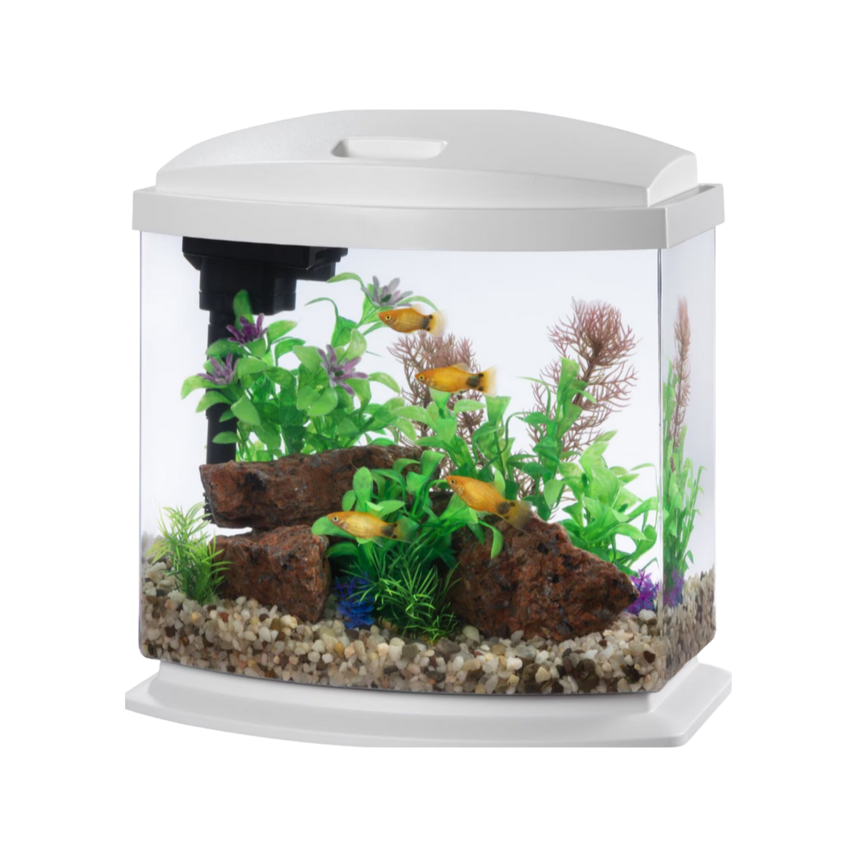 Aqueon MiniBow Led Desktop Fish Aquarium Kit 2.5 gal