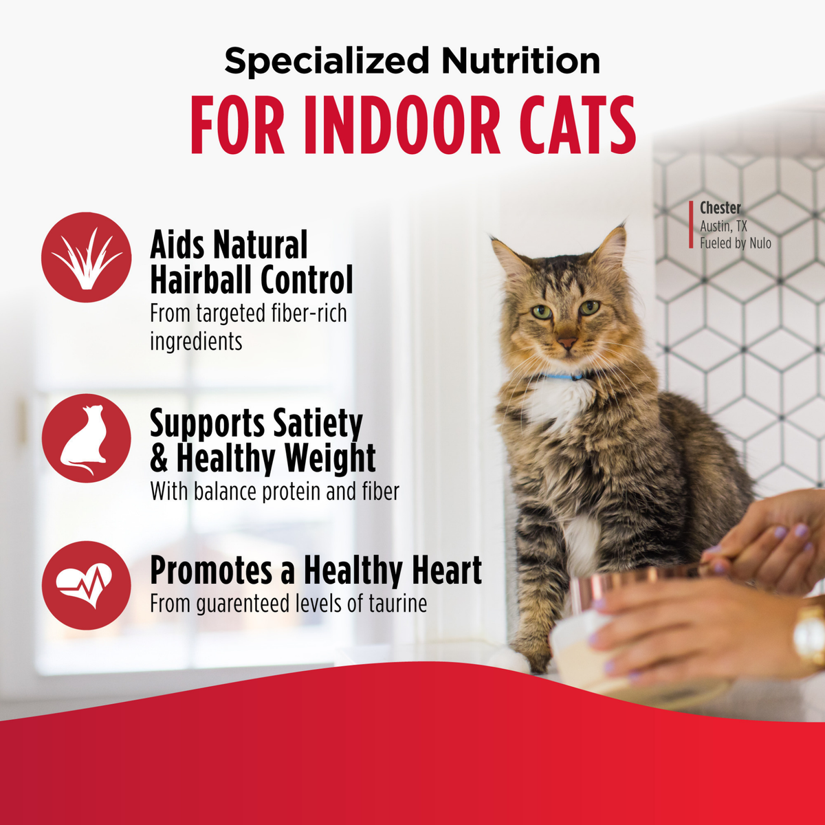 Nulo Freestyle Grain-Free Duck Indoor Dry Cat Food 5 lb