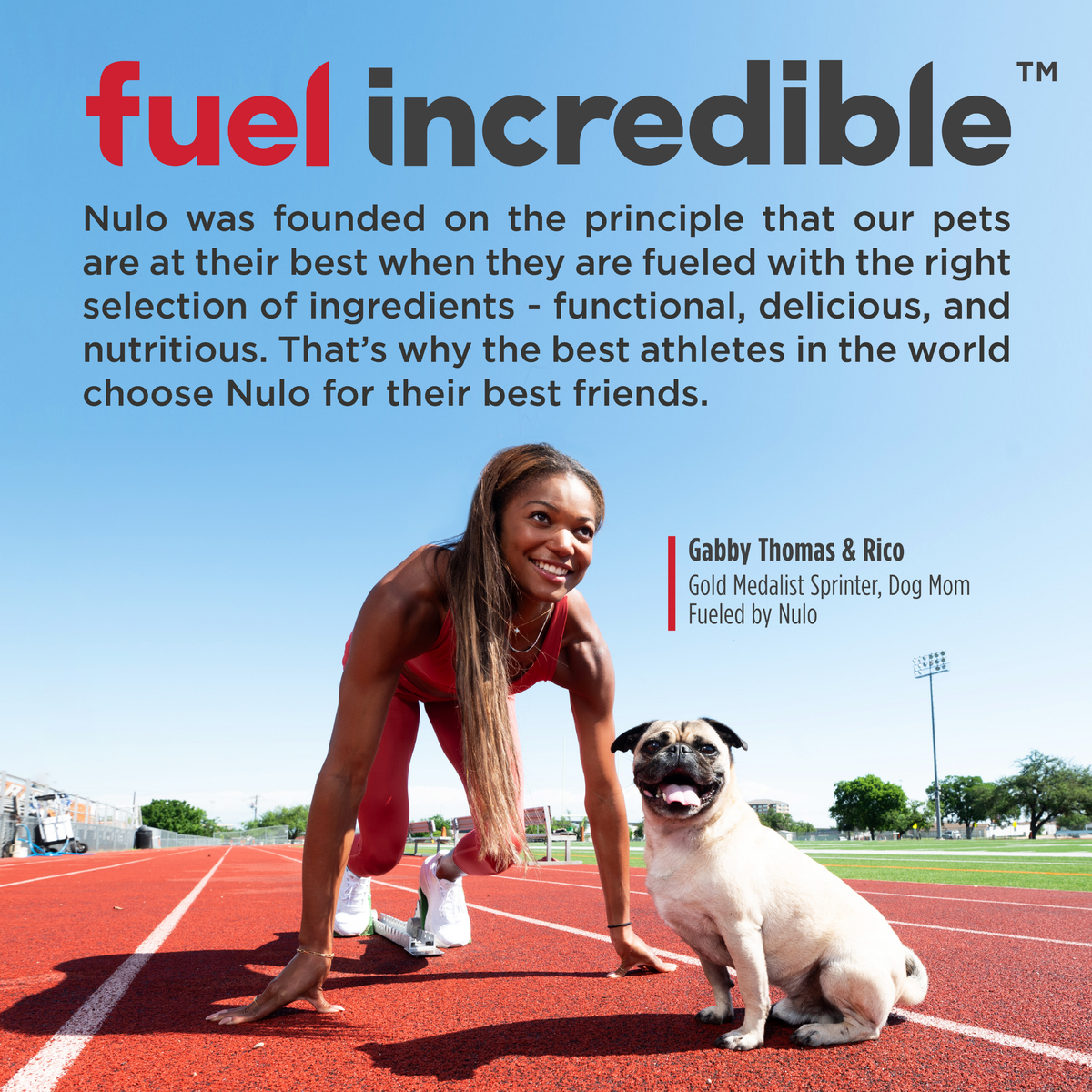 Nulo Digestion Functional Granola Bars for Dogs 10 oz