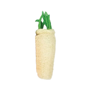 A&E Nibbles Large Loofah Daikon Small Animal Chew Toy