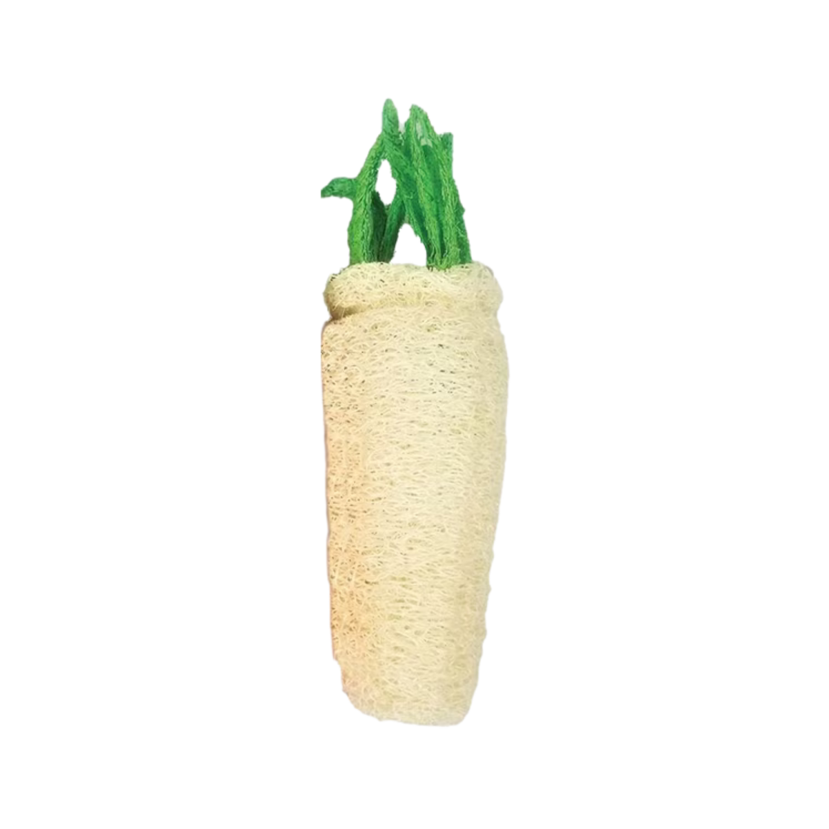 A&E Nibbles Large Loofah Daikon Small Animal Chew Toy