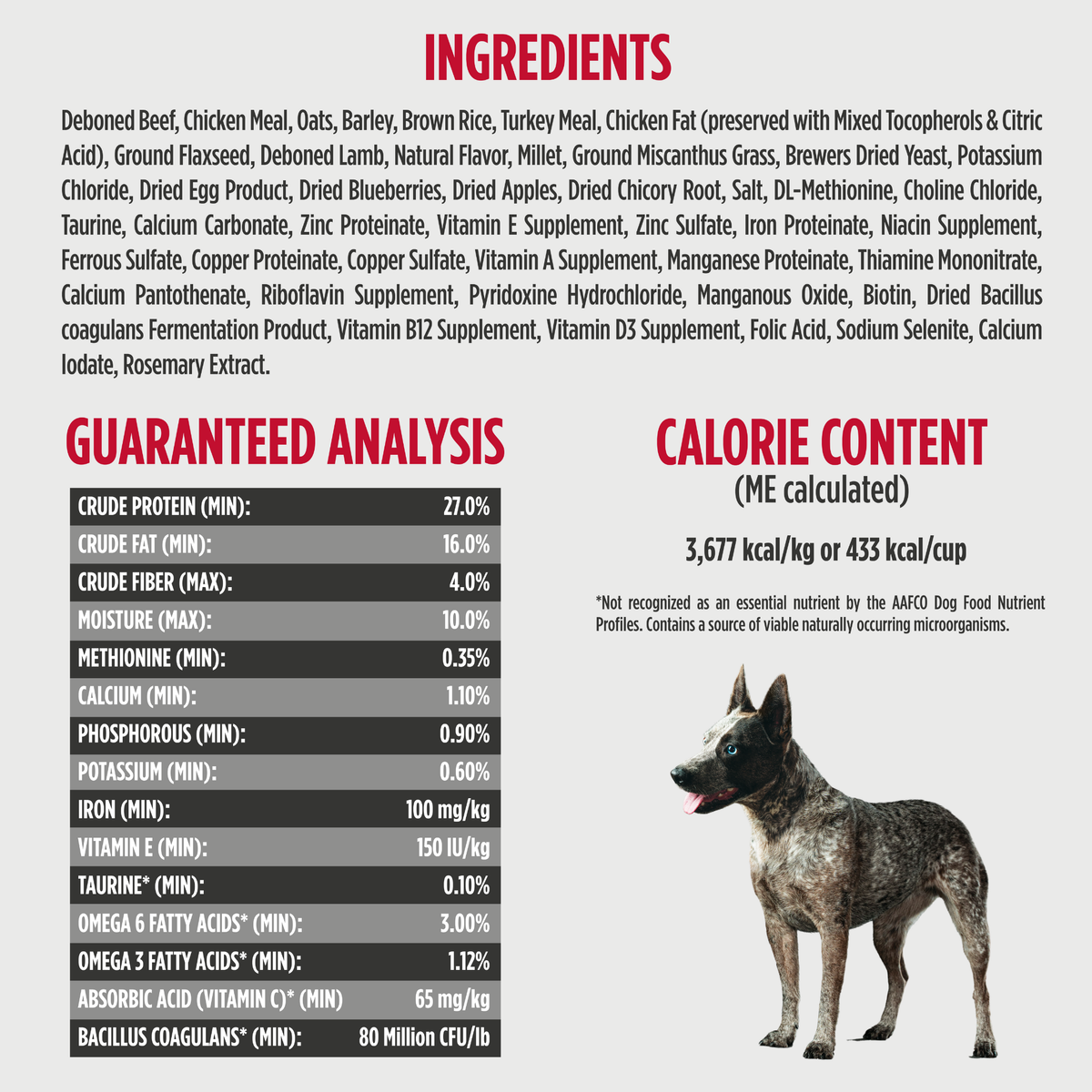 Nulo Frontrunner Beef, Barley & Lamb Adult Dry Dog Food