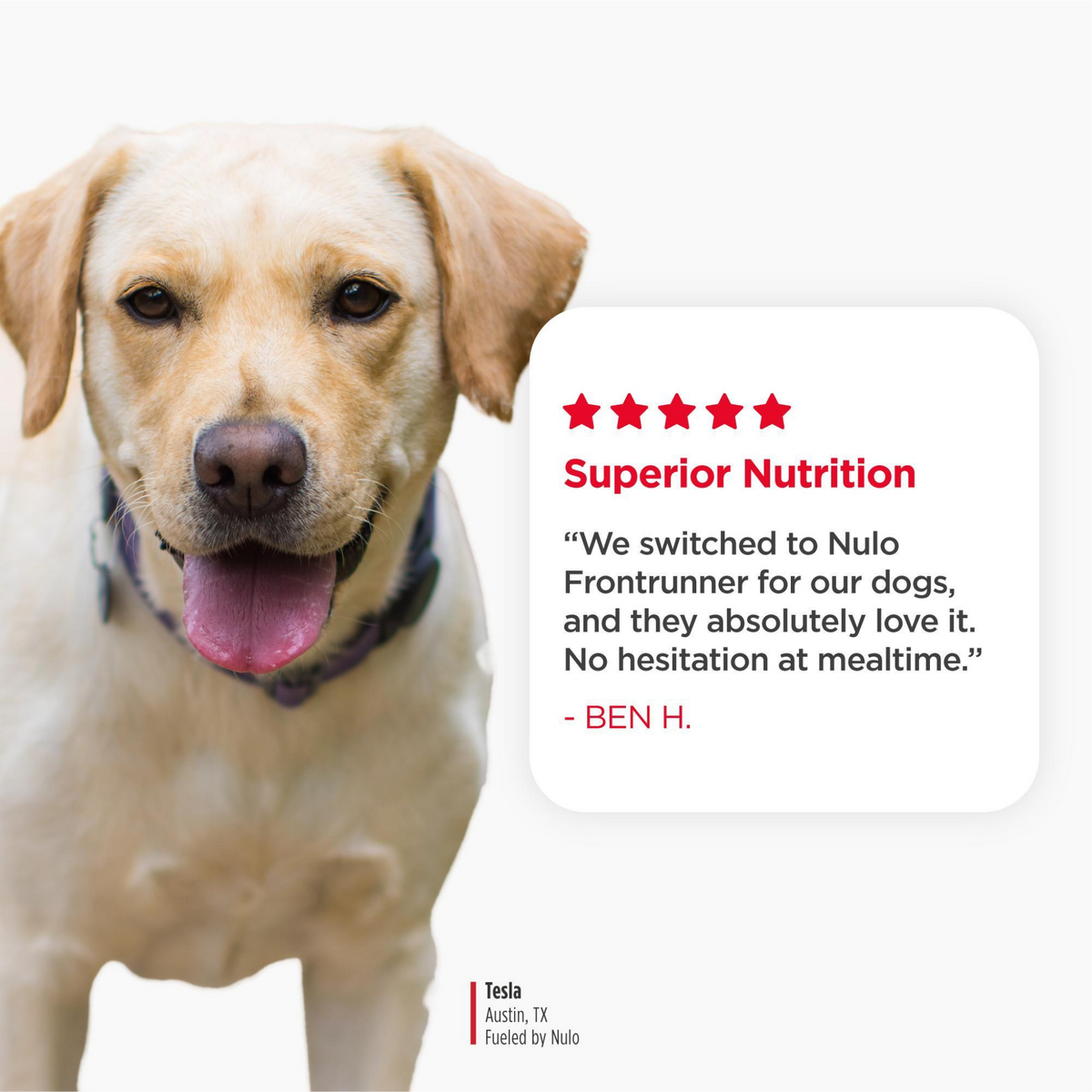 Nulo Frontrunner Beef, Barley & Lamb Adult Dry Dog Food