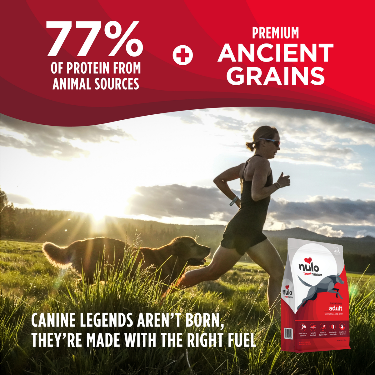 Nulo Frontrunner Beef, Barley & Lamb Adult Dry Dog Food