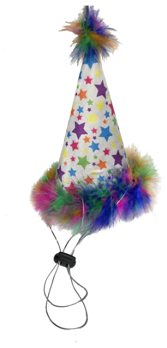 Birthday Superstar Pet Party Hat with Snugfit