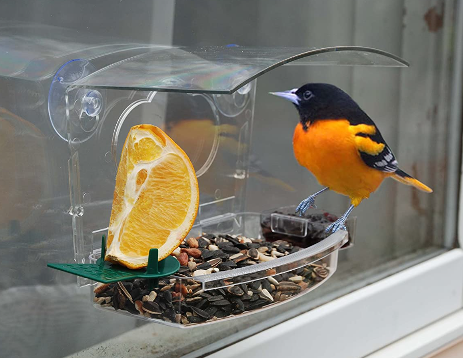 Woodlink Audubon Mixed Treat Window Bird Feeder