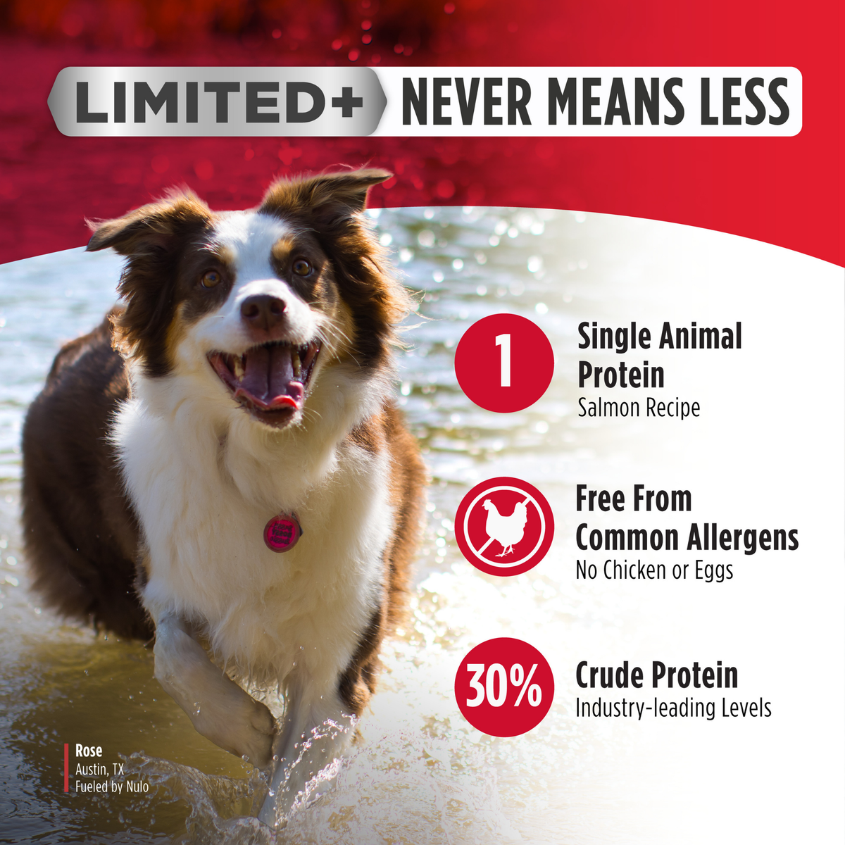Nulo Freestyle Grain-Free Limited Ingredient Salmon Recipe All Life Stages Dry Dog Food