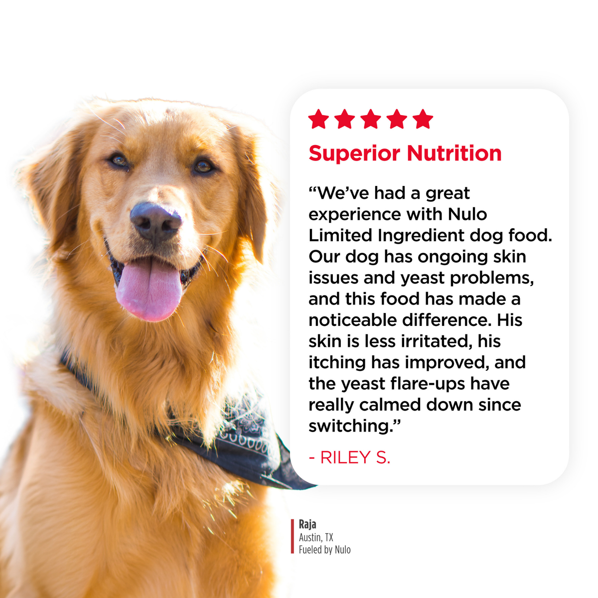 Nulo Freestyle Grain-Free Limited Ingredient Salmon Recipe All Life Stages Dry Dog Food
