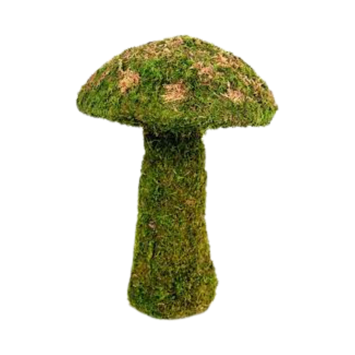 Galapagos Reptile Gear Moss Mushroom Terrarium Décor 11 in