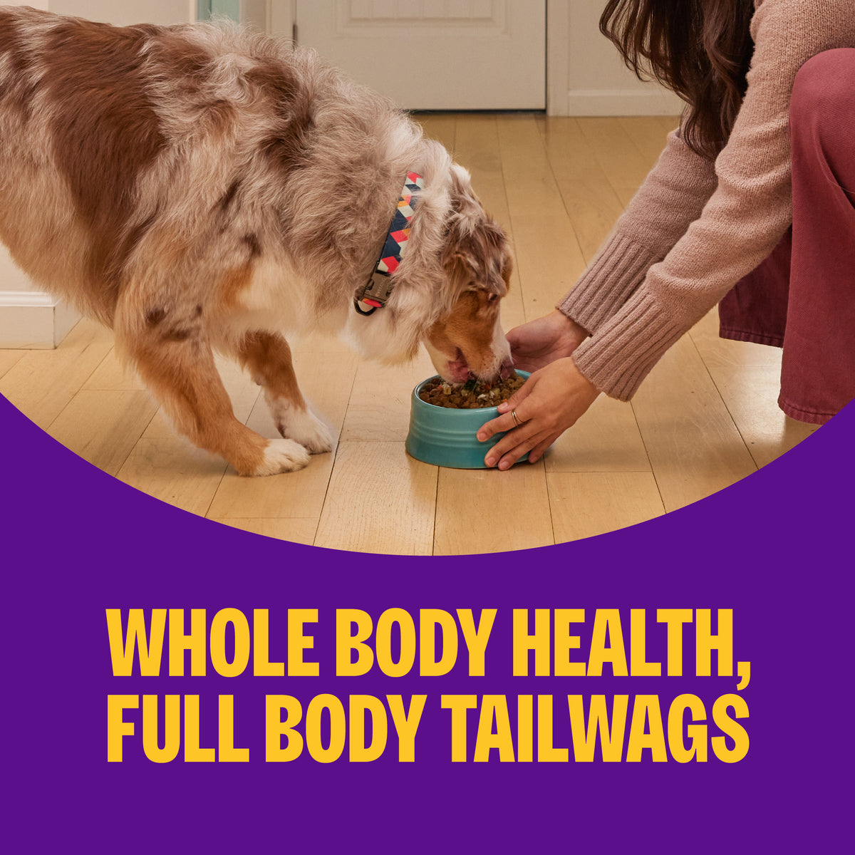 Wellness Complete Health+ Dry Dog Food, Chicken Recipe