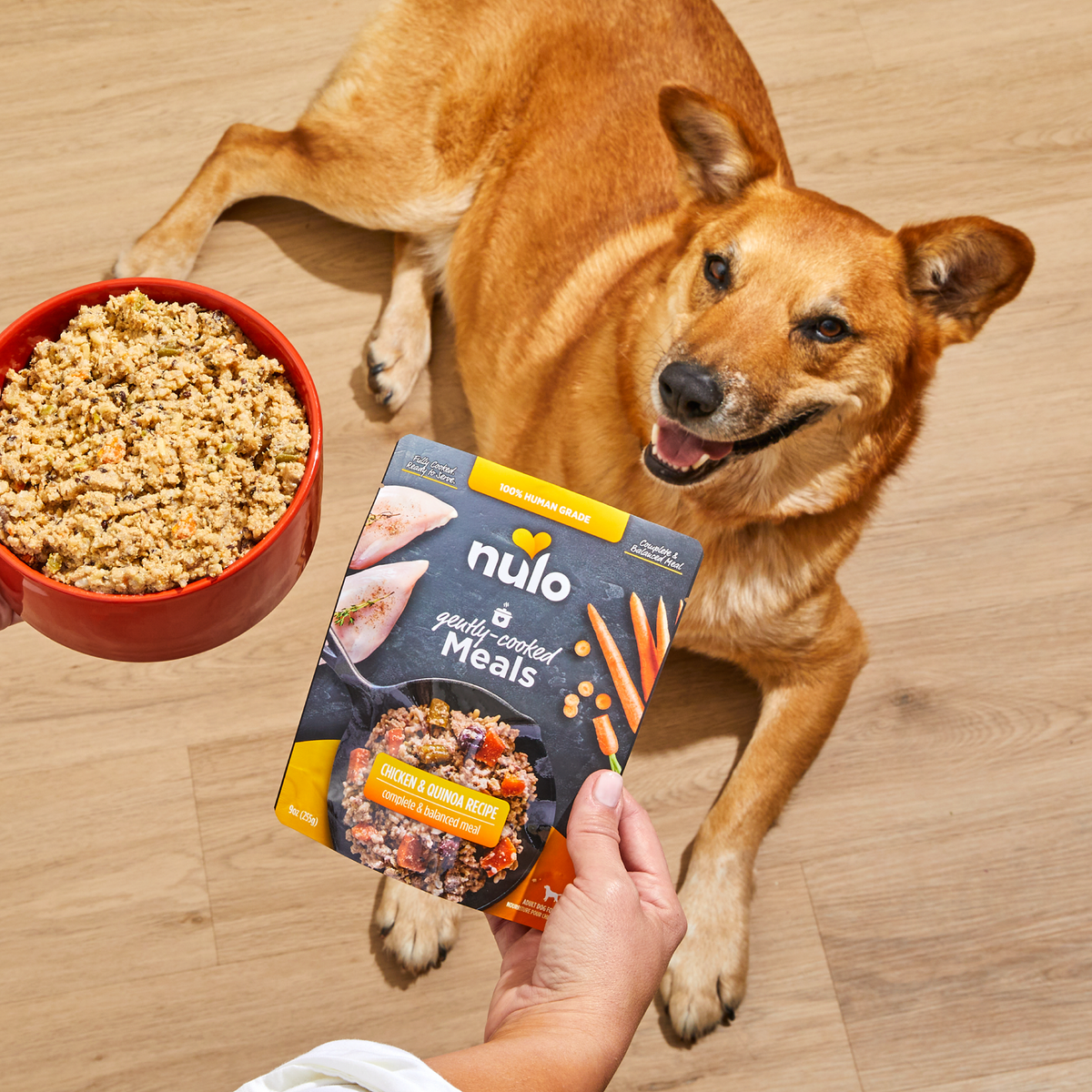 NULO Gently-Cooked Meals Beef & Sweet Potato Recipe Adult Dog Food