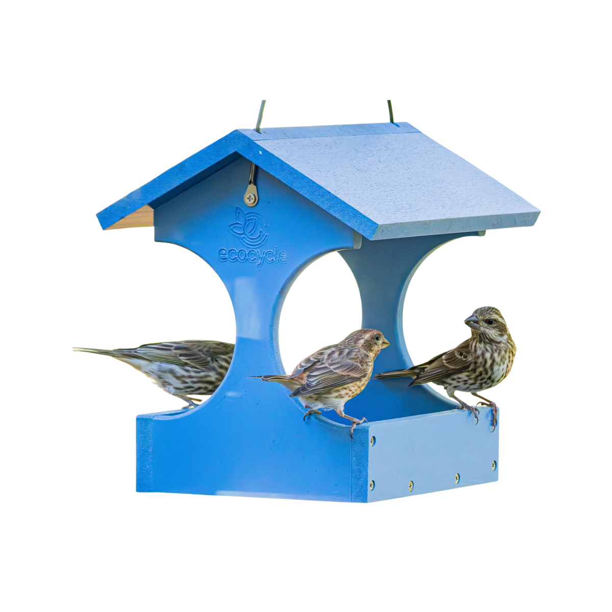 Nature's Way Dine-n-Dash Recycled Plastic Wild Bird Feeder .8 qt