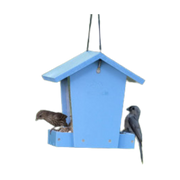 Nature's Way Bird Banquet Recycled Plastic Hopper Wild Bird Feeder