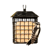 Nature's Way Double Suet Cake Cage Wild Bird Feeder with Roof