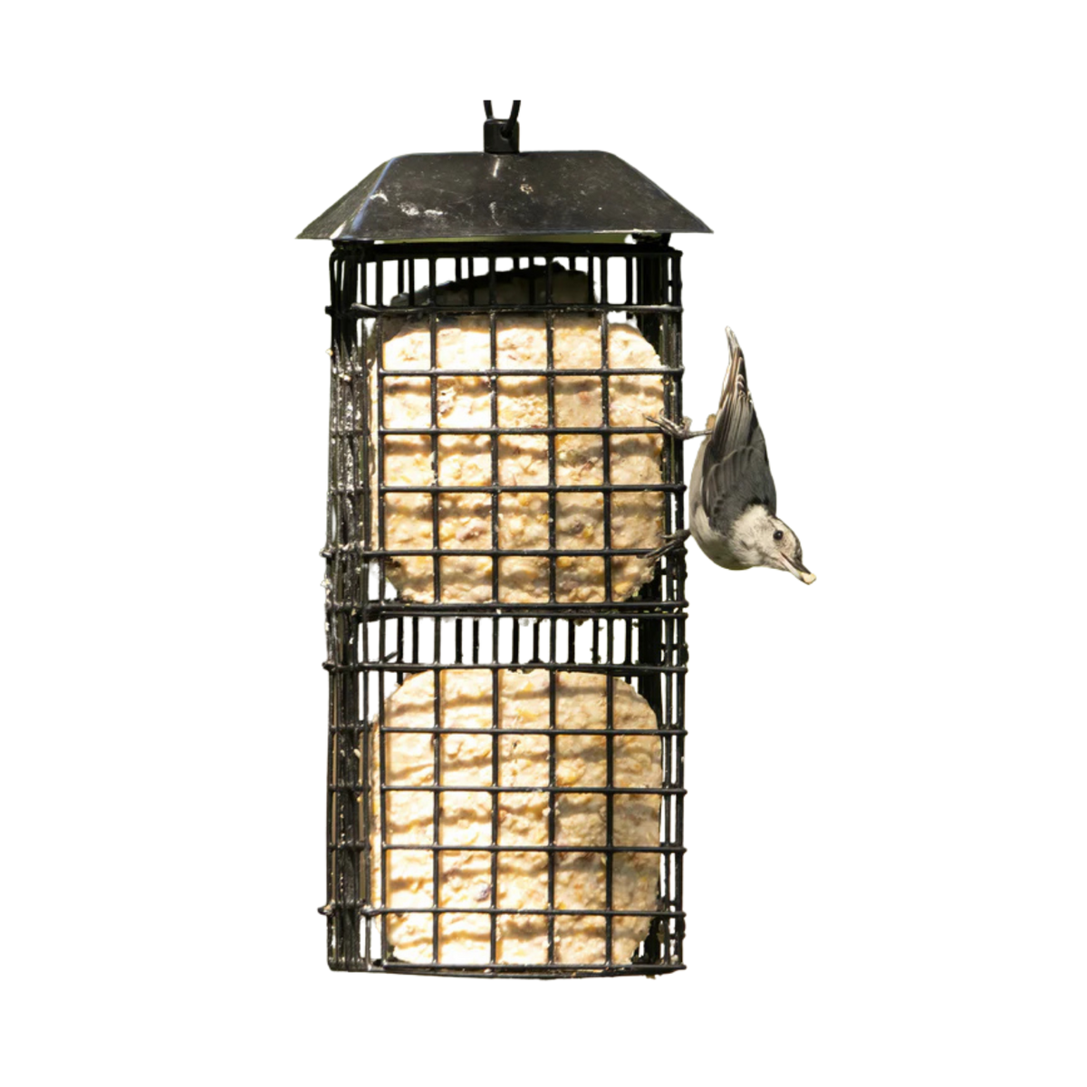 Nature's Way Four Suet Cake Cage Wild Bird Feeder with Roof