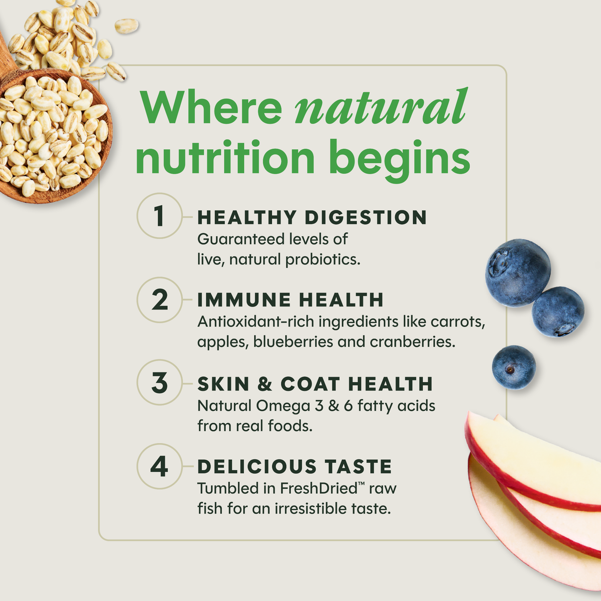 Instinct Be Natural Real Salmon & Brown Rice Recipe Freeze-Dried Raw Coated All Life Stage Dry Dog Food