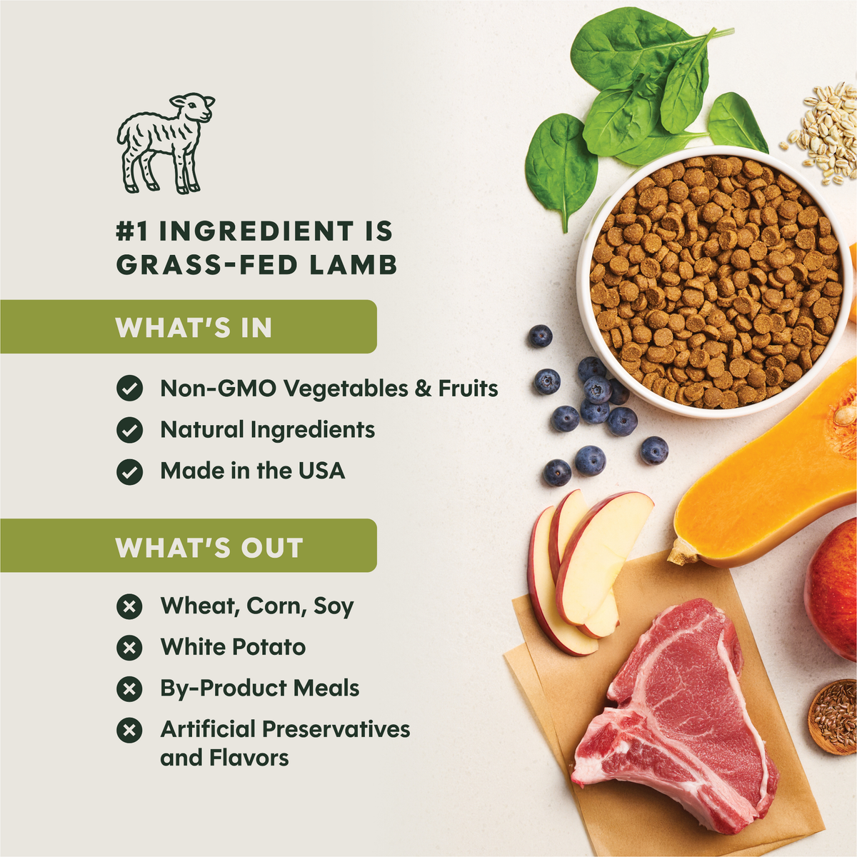 INSTINCT Be Natural Real Lamb & Oatmeal Recipe Freeze-Dried Raw Coated All Life Stage Dry Dog Food