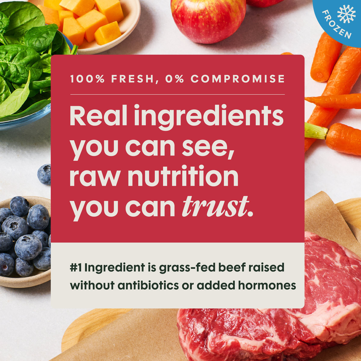 Instinct FreshRaw Meals Grass-Fed Beef Recipe Adult Dog Food 8 oz