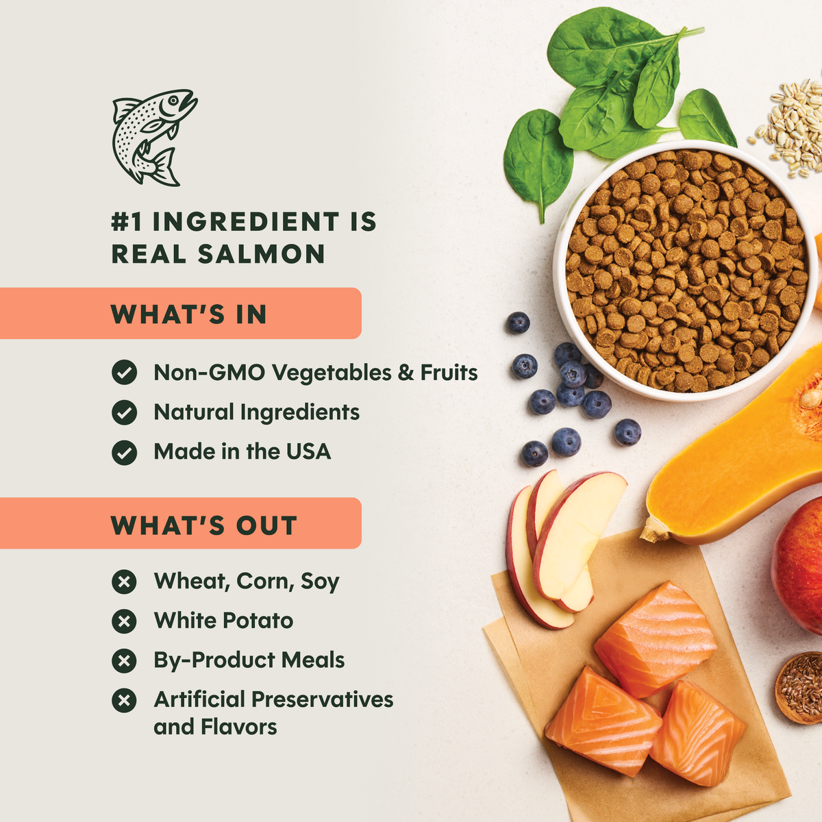 Instinct Be Natural Real Salmon & Brown Rice Recipe Freeze-Dried Raw Coated All Life Stage Dry Dog Food