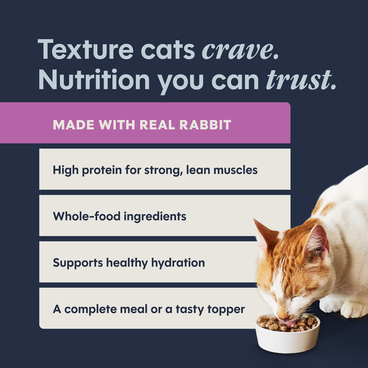 Instinct Flaked Rabbit Entrée in Savory Gravy Wet Cat Food