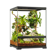 Exo Terra Pro Terrarium Small Tall Advanced Natural Terrarium