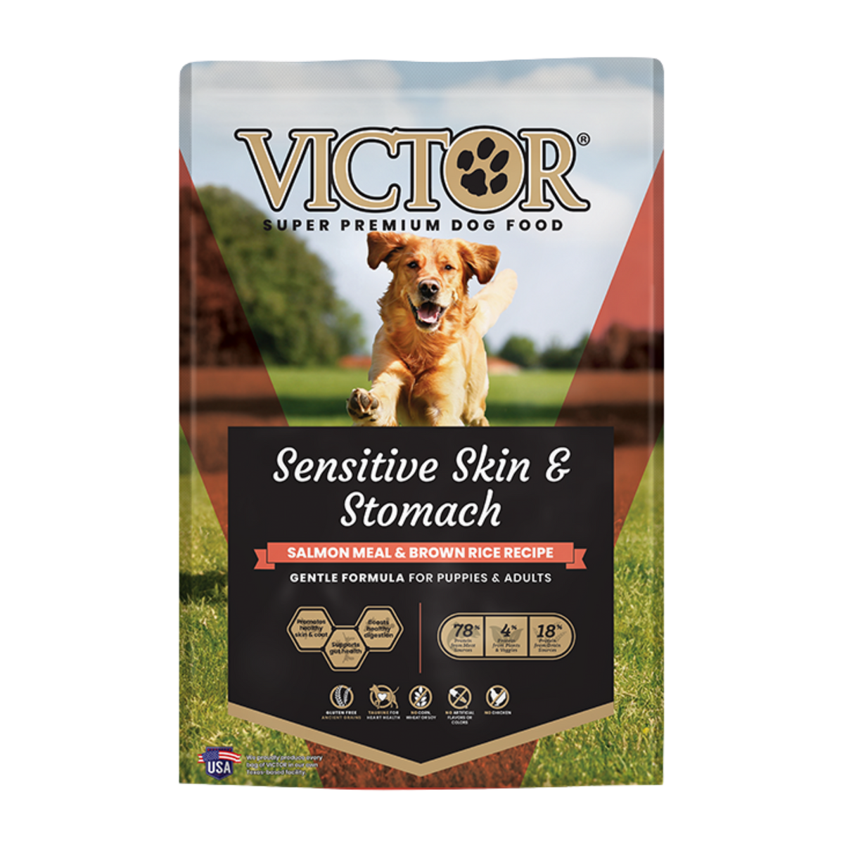 Victor Pet Food Sensitive Skin & Stomach Salmon Meal & Brown Rice Dry Dog Food