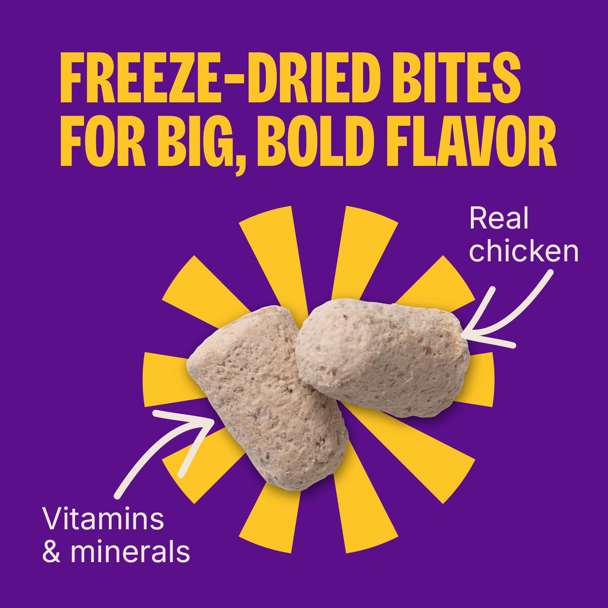 Wellness Complete Health+ Dry Dog Food, Chicken Recipe