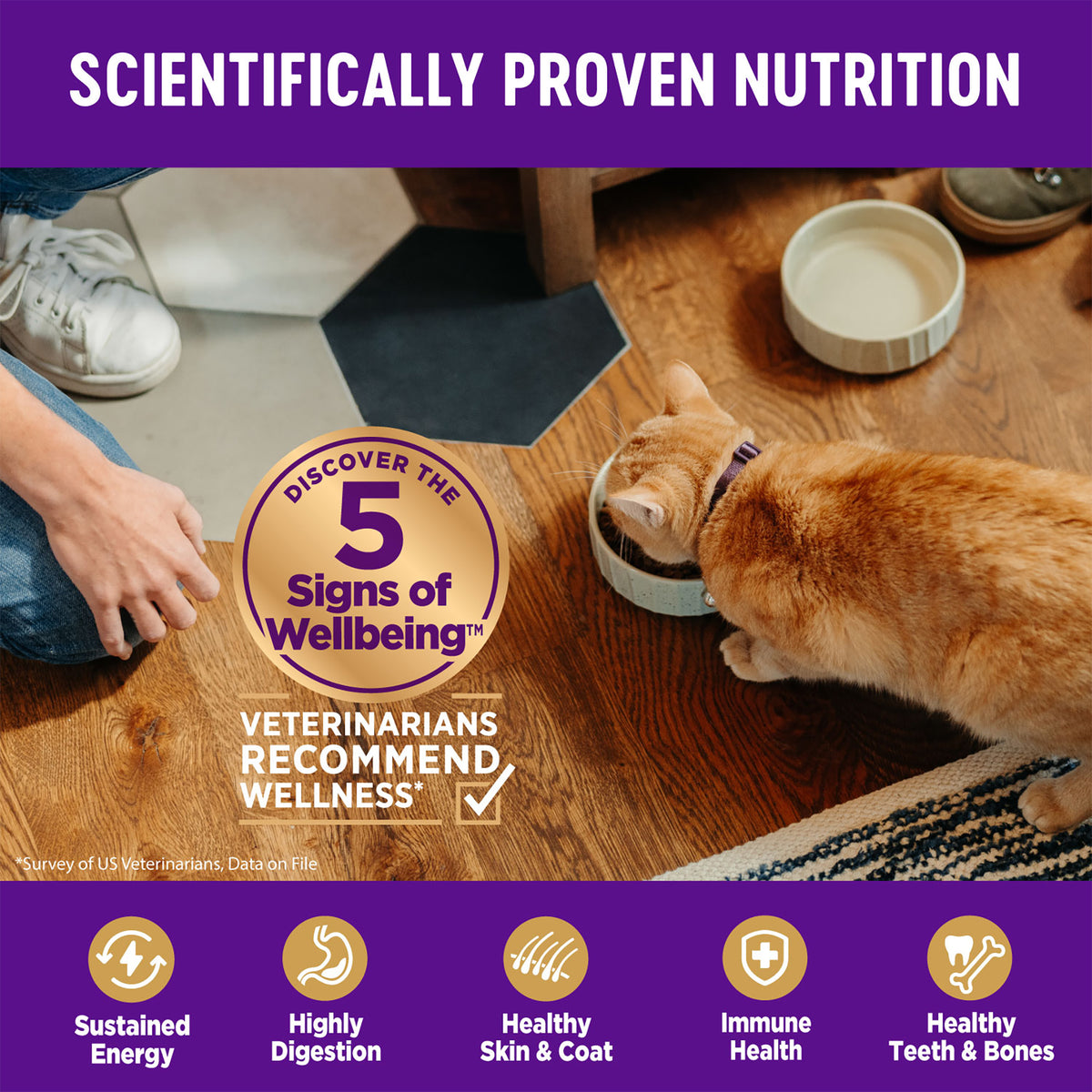 Wellness Complete Health Indoor Healthy Weight Chicken Recipe Grain-Free Dry Cat Food