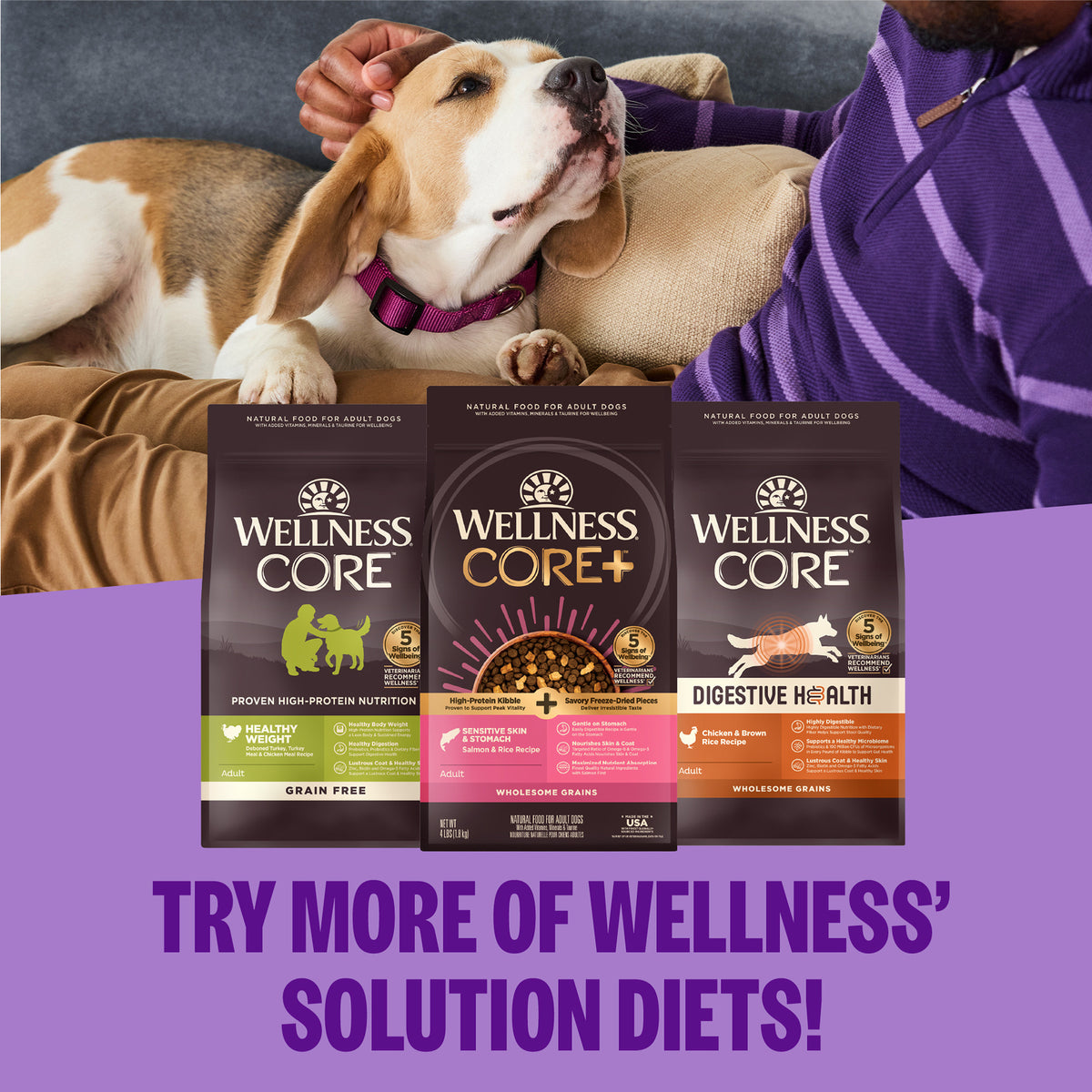 Wellness Core Small Breed Healthy Weight Deboned Turkey, Turkey Meal, & Chicken Meal Recipe Grain-Free Dry Dog Food 4 lb