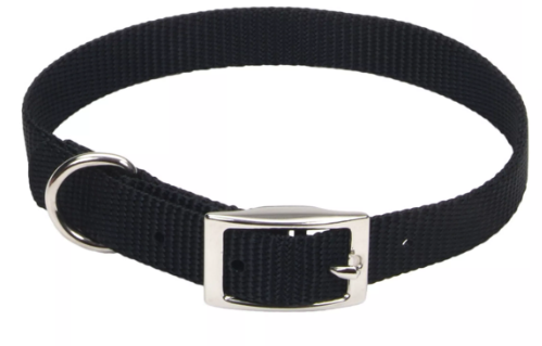 Coastal Pet Products Single Ply Nylon Dog Collar